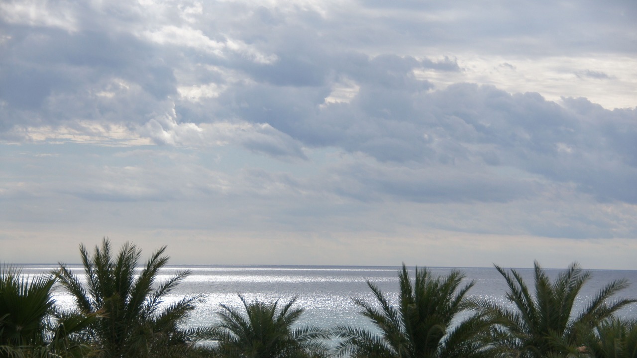 Photo of Patio Balcony in Seacrest
