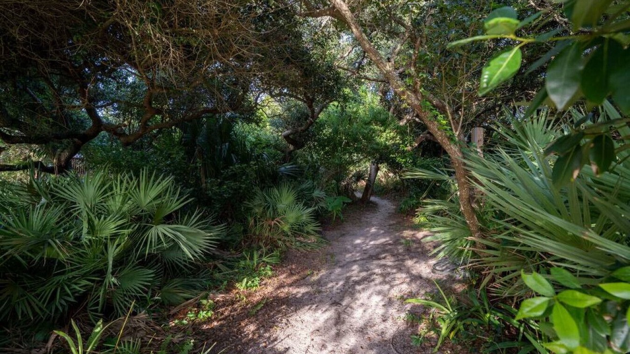 Photo of Outdoor in Vilano Beach