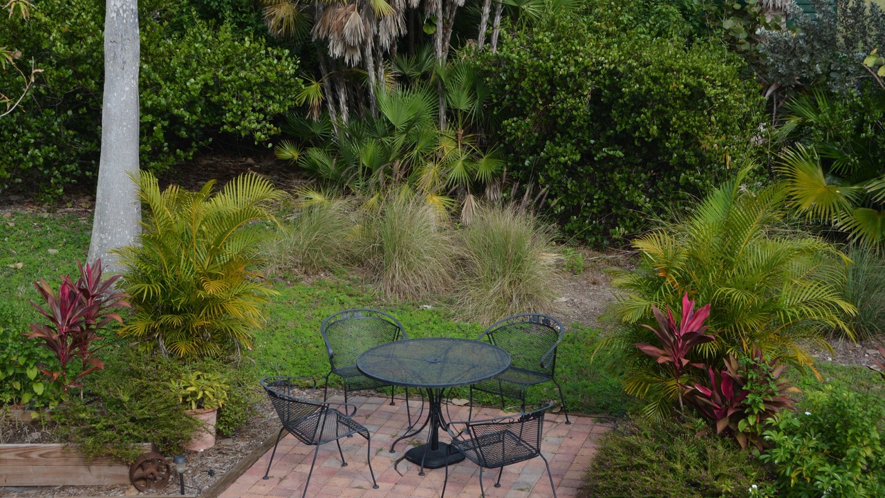 Photo of Others in Everglades City