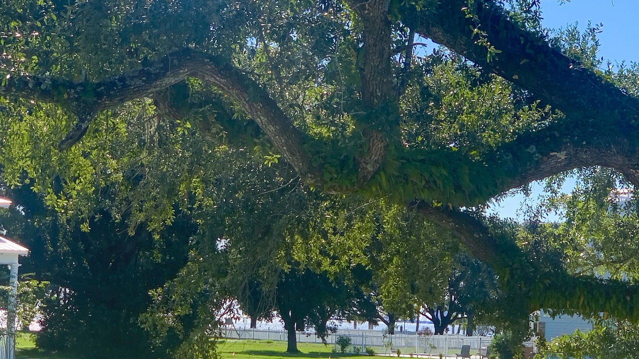 Photo of Outdoor in Gulfport