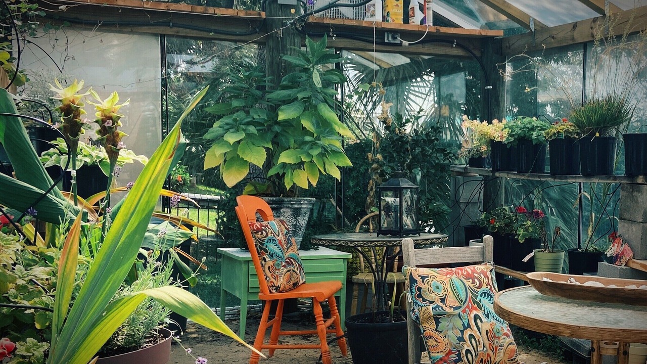 Photo of Outdoor in Pretty Bayou