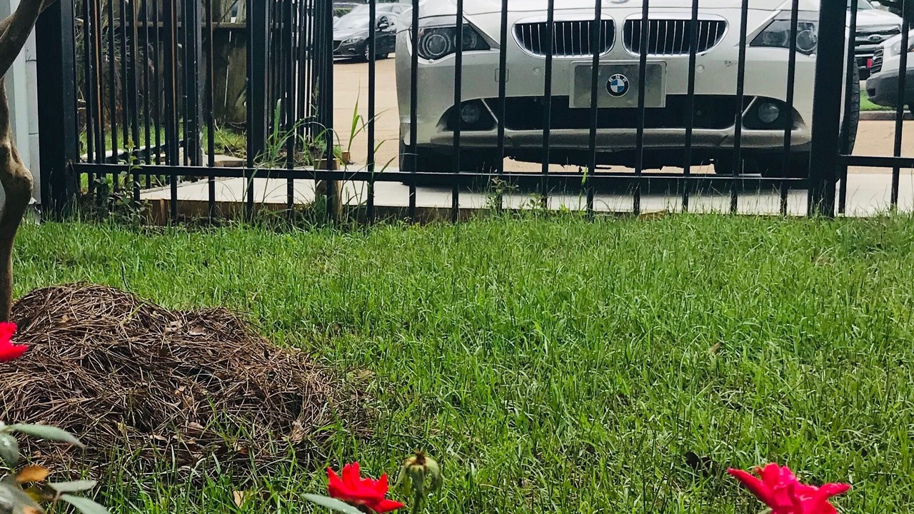 Photo of Outdoor in Fondren