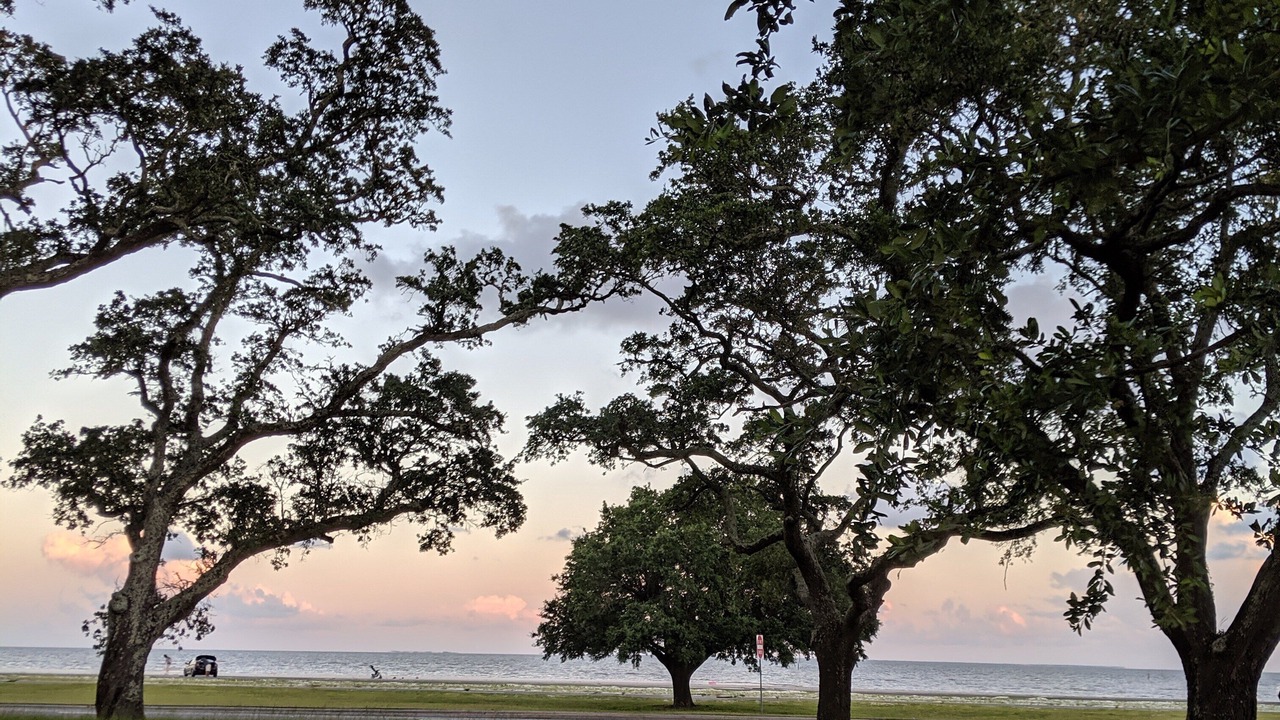 Photo of Outdoor in Long Beach