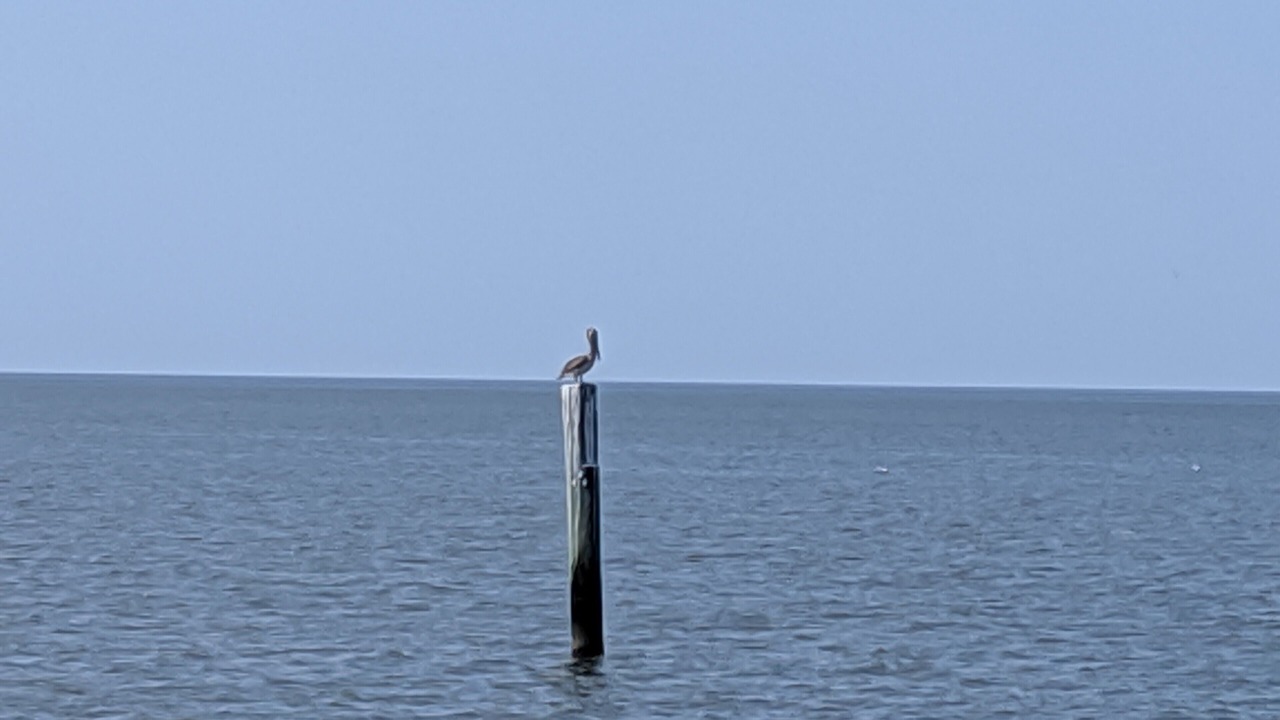 Photo of Others in Long Beach