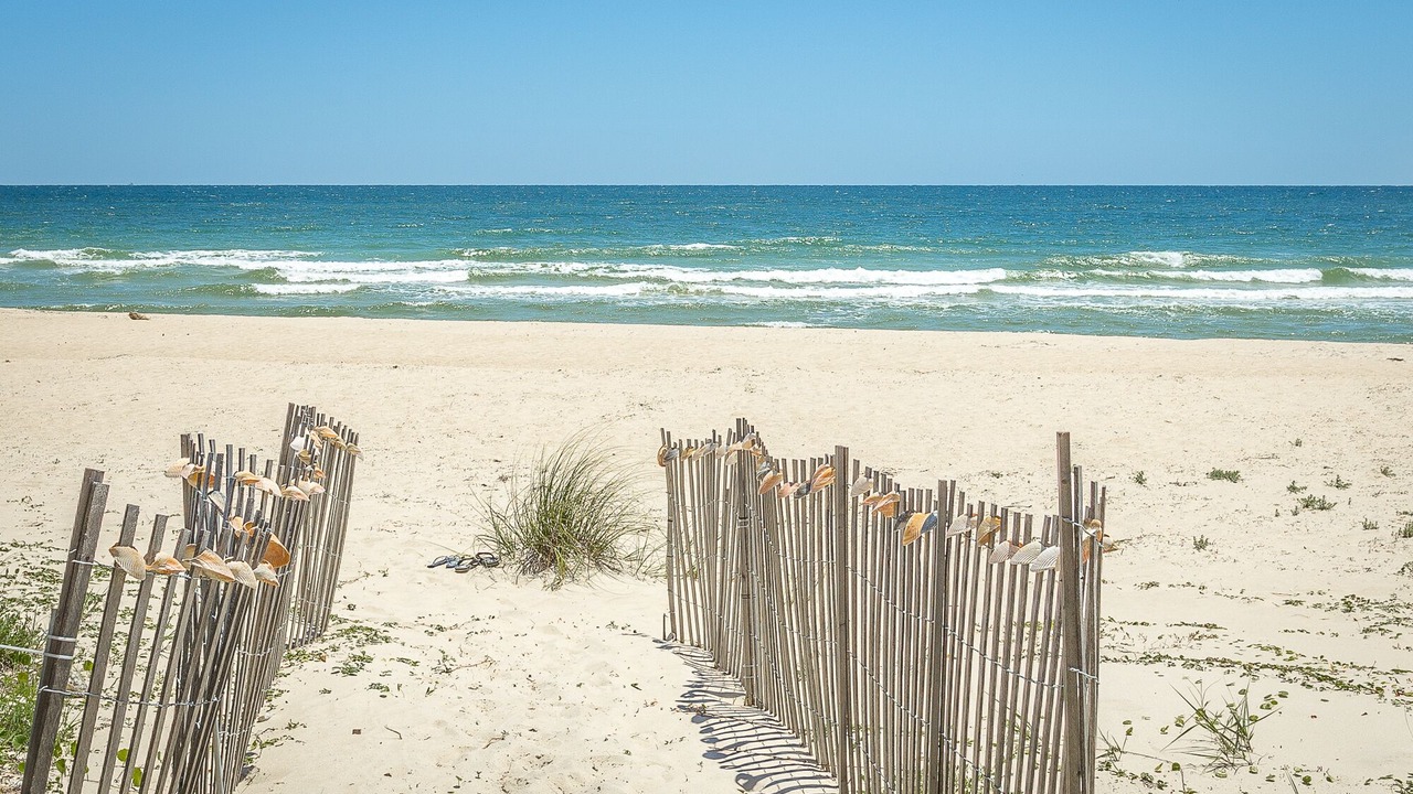 Photo of Others in St. George Island