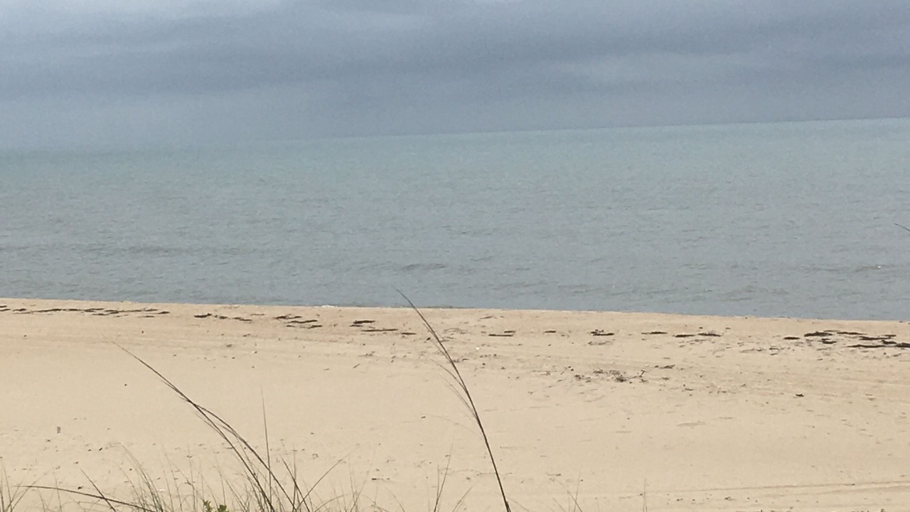 Photo of Others in St. George Island