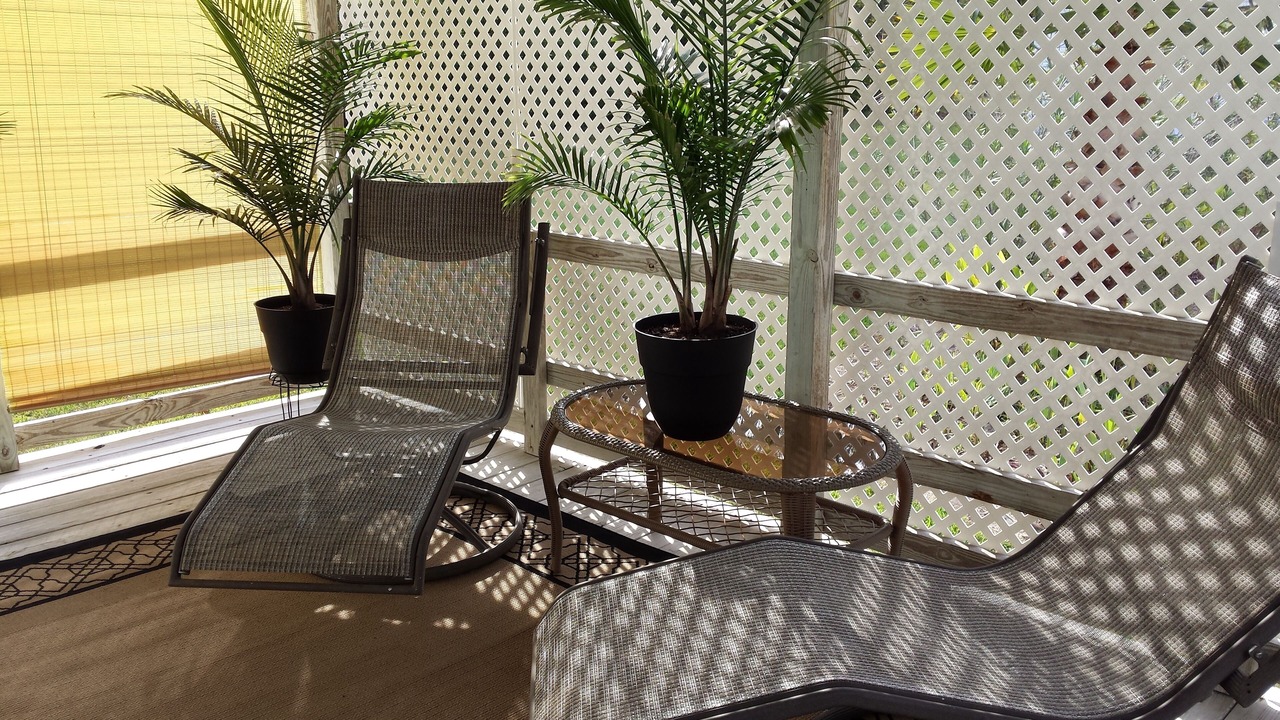 Photo of Outdoor in Silsbee