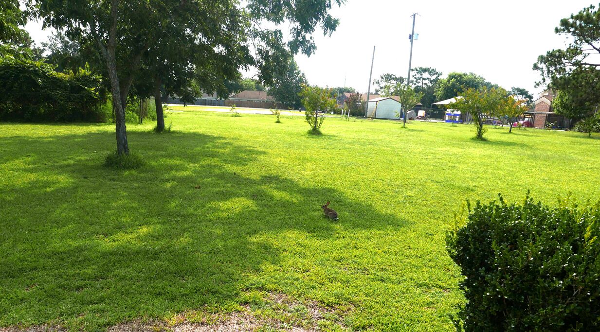Photo of Outdoor in Navarre