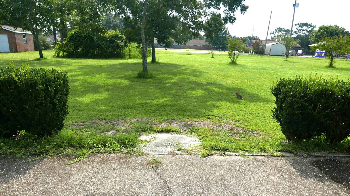 Photo of Outdoor in Navarre