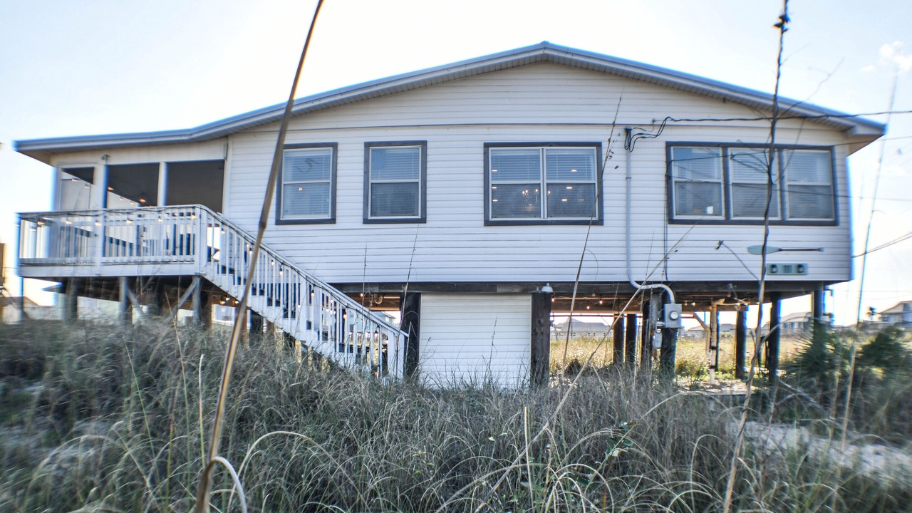 Photo of Outdoor in Dauphin Island