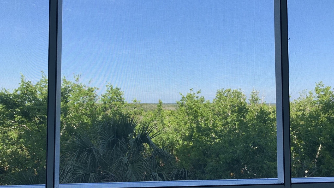 Photo of Others in New Smyrna Beach