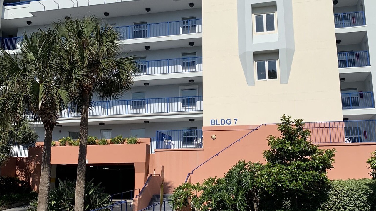 Photo of Outdoor in New Smyrna Beach