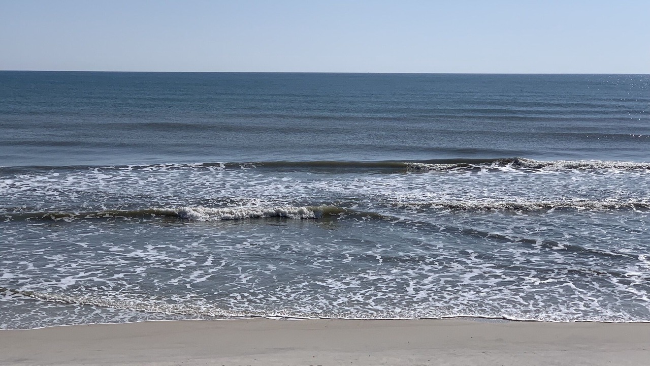 Photo of Others in New Smyrna Beach