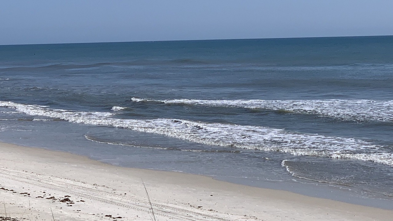 Photo of Others in New Smyrna Beach
