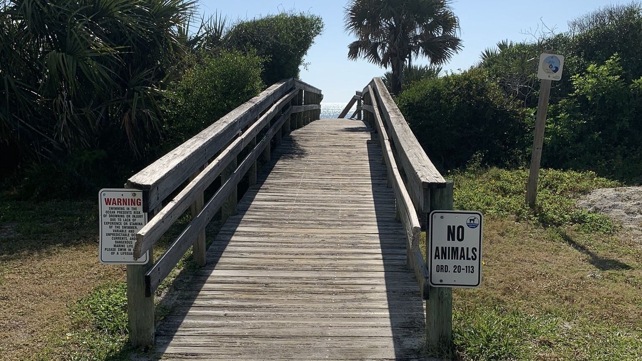 Photo of Outdoor in New Smyrna Beach