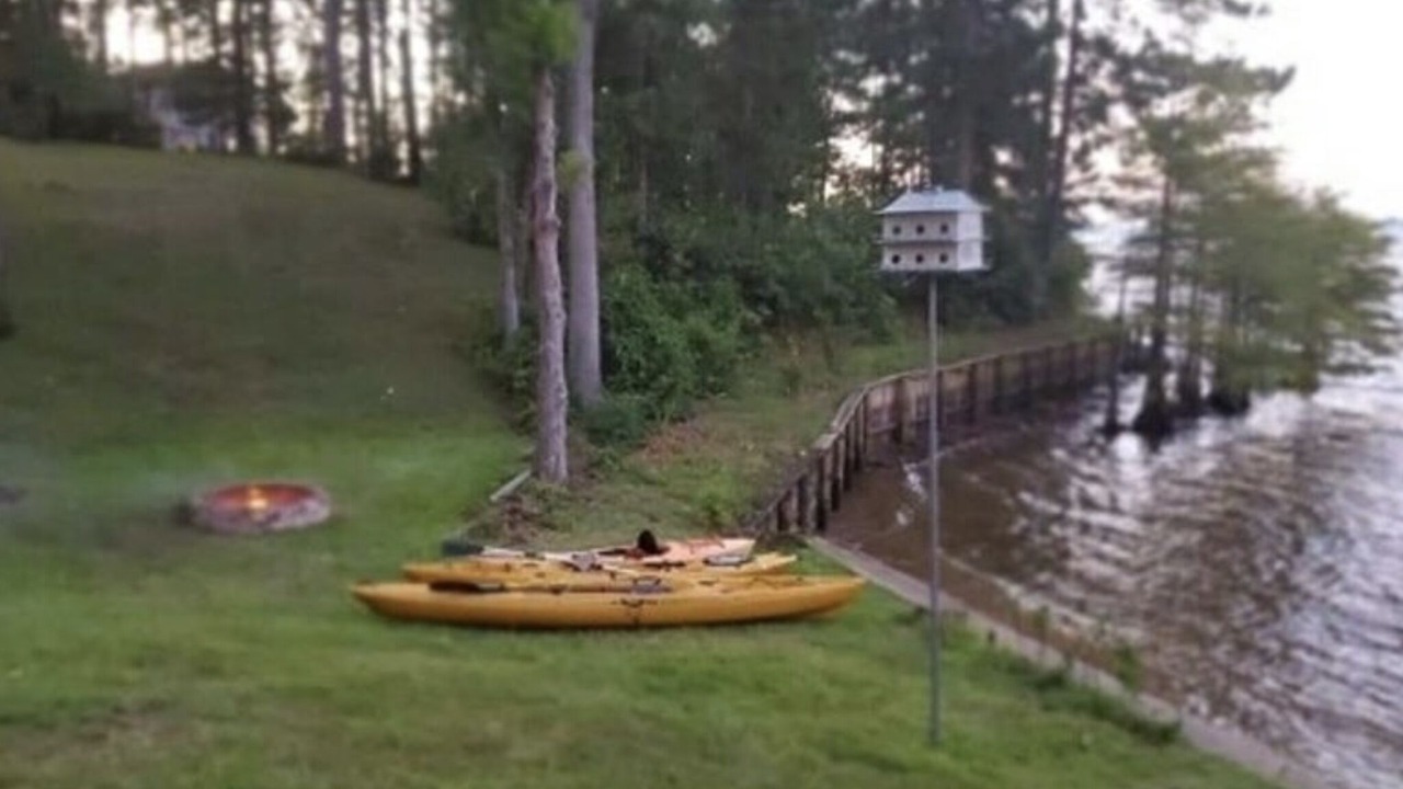 Photo of Outdoor in Hemphill