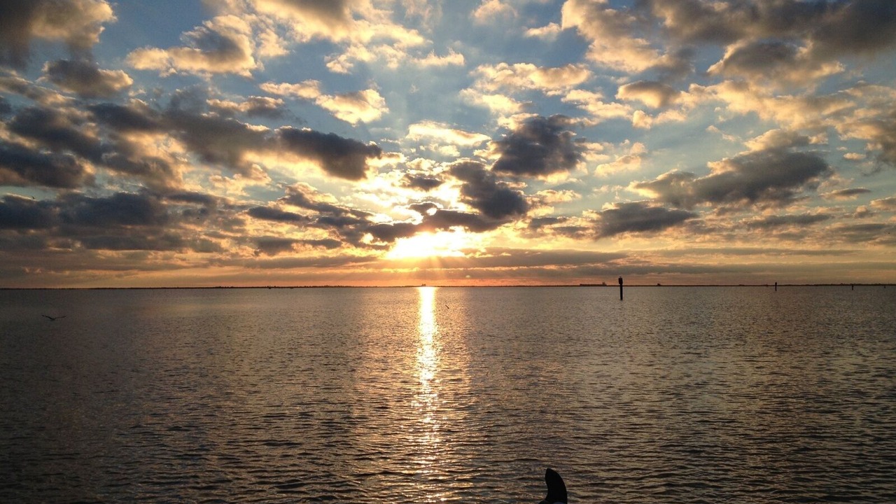 Photo of Others in Boothville-Venice