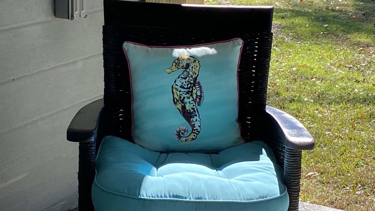 Photo of Outdoor in Lake Charles