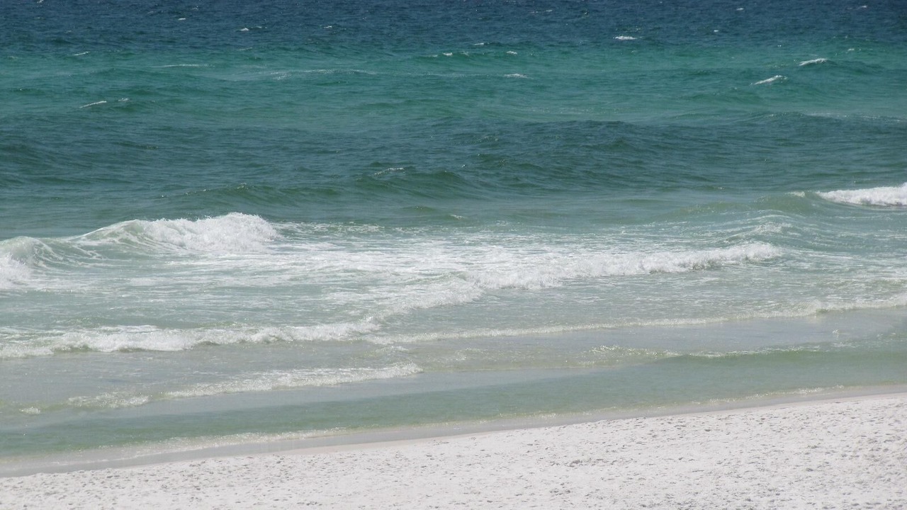 Photo of Others in Miramar Beach