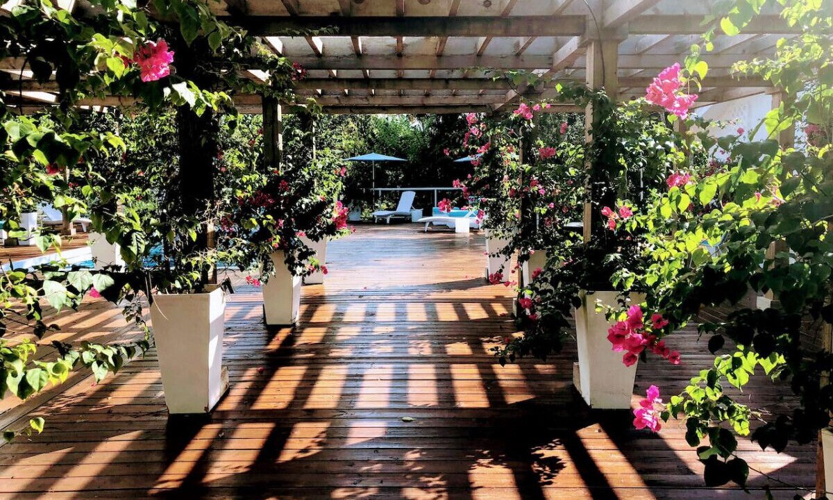 Photo of Patio Balcony in Oakes Estates