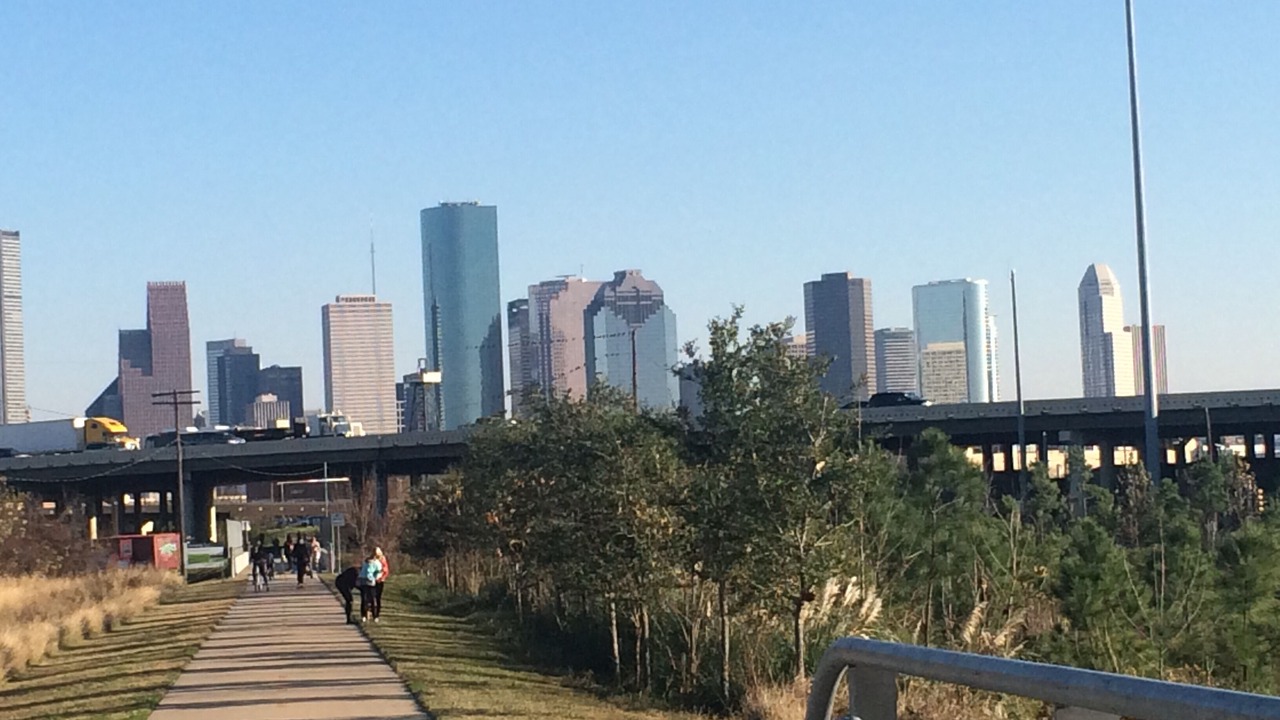 Photo of Others in Houston Heights