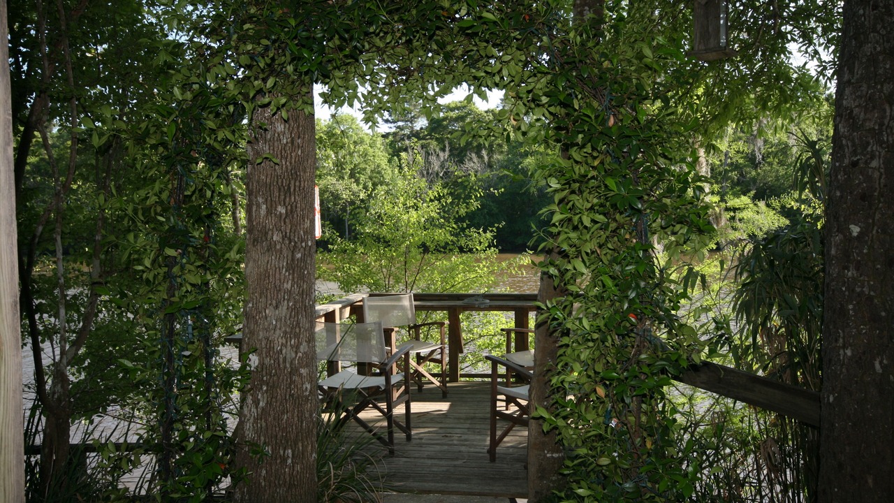 Photo of Others in Ponce De Leon