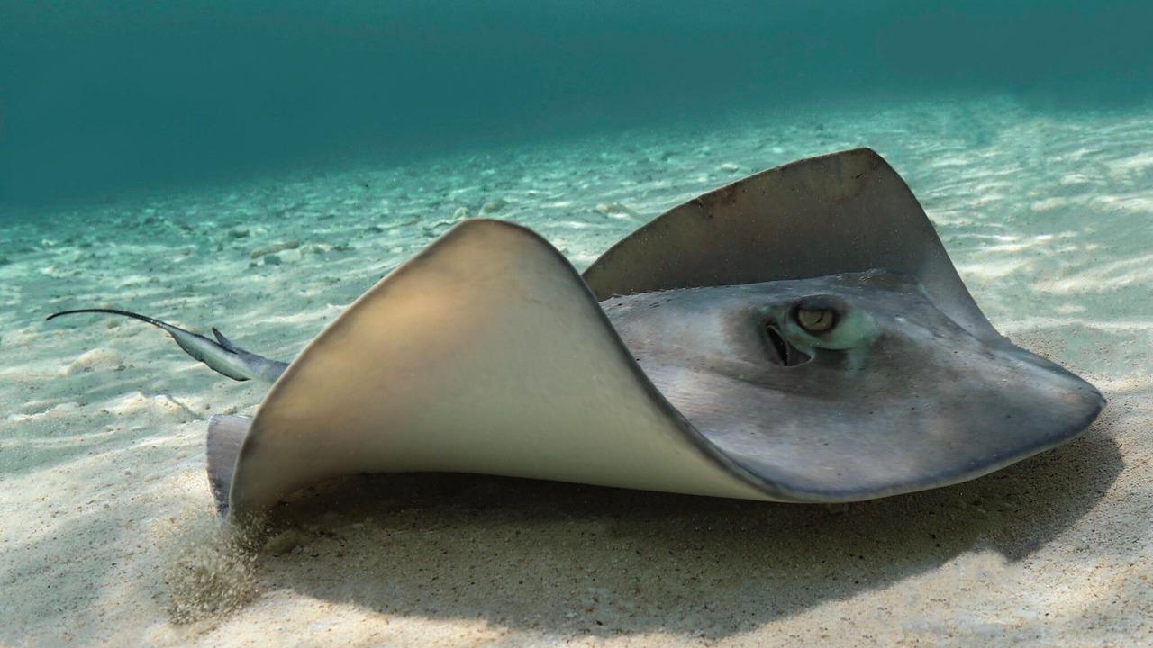 Photo of Others in Miramar Beach
