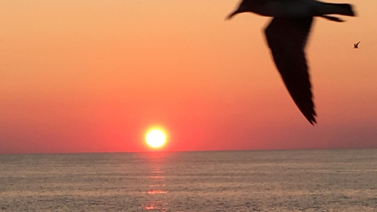 Photo of Outdoor in Miramar Beach