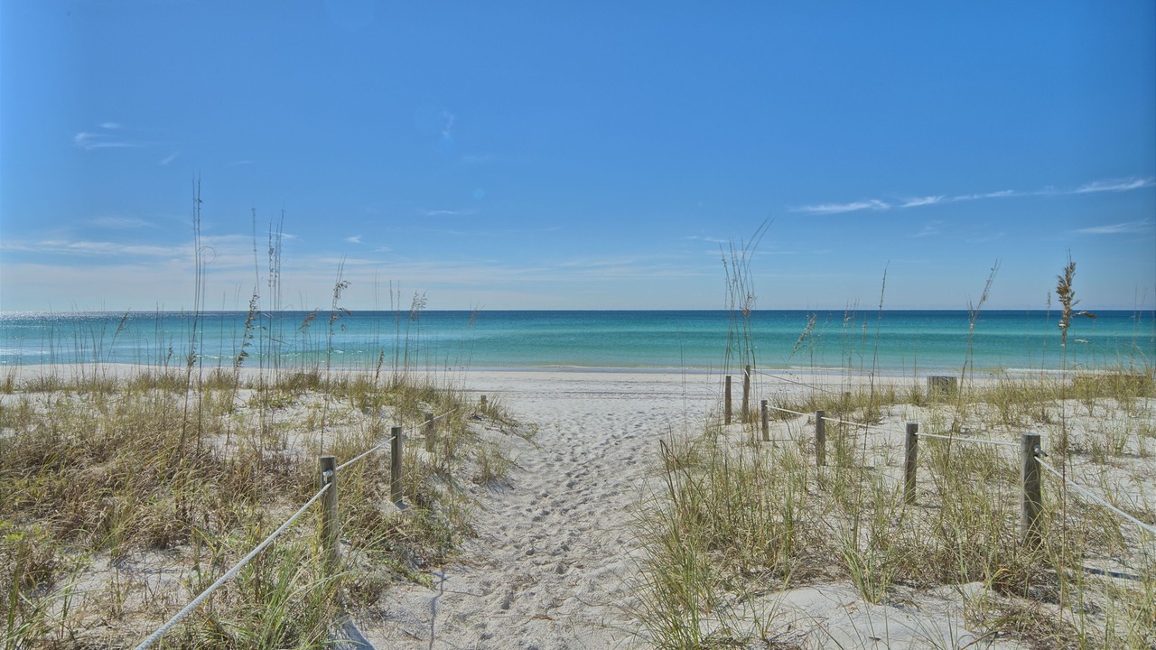 Photo of Others in Gulf Lagoon Beach