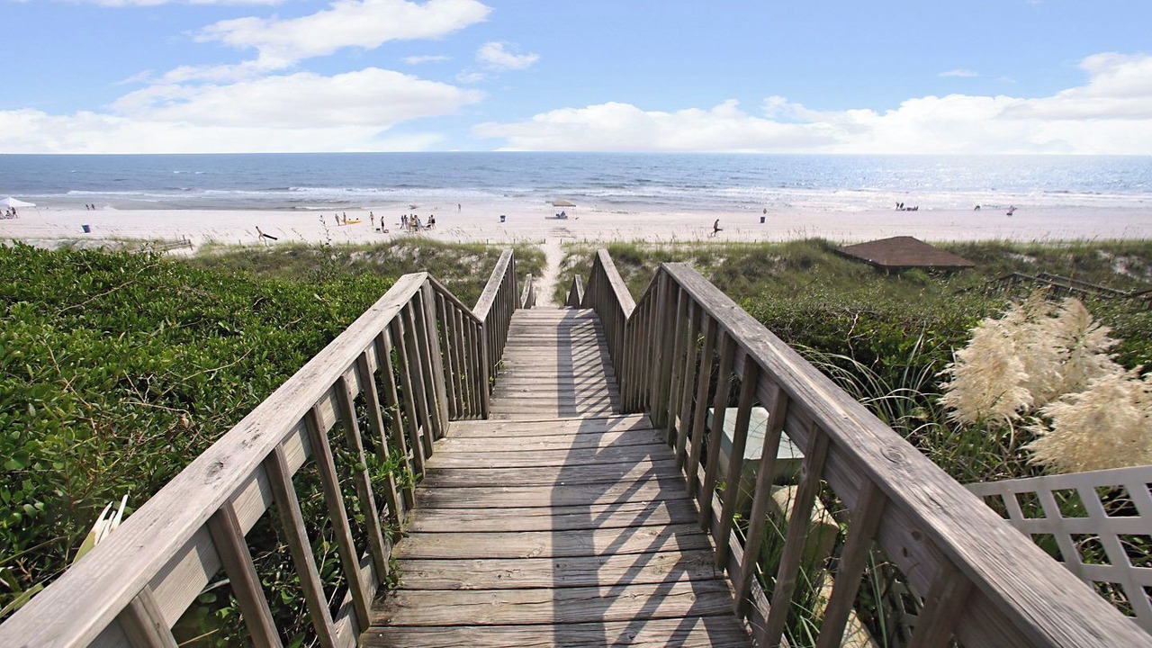 Photo of Others in Kiska Beach