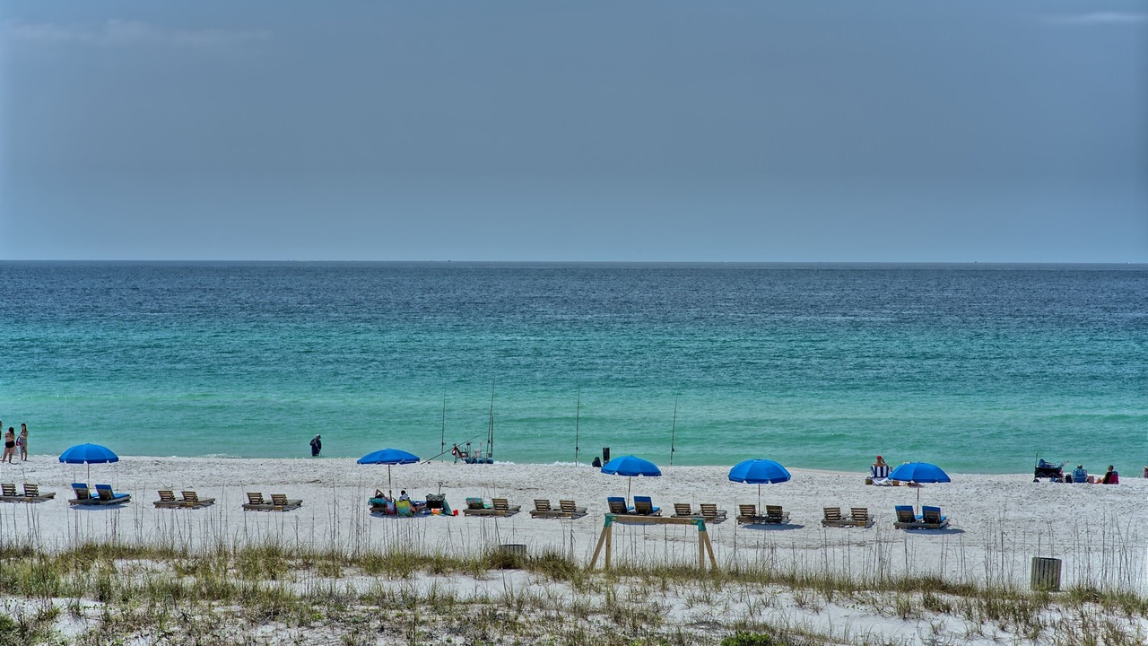 Photo of Others in Gulf Lagoon Beach