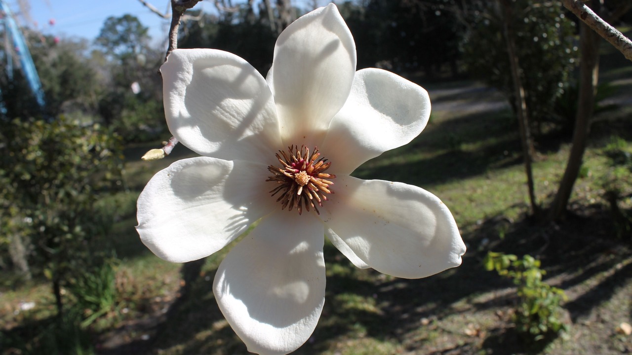 Photo of Outdoor in Monticello