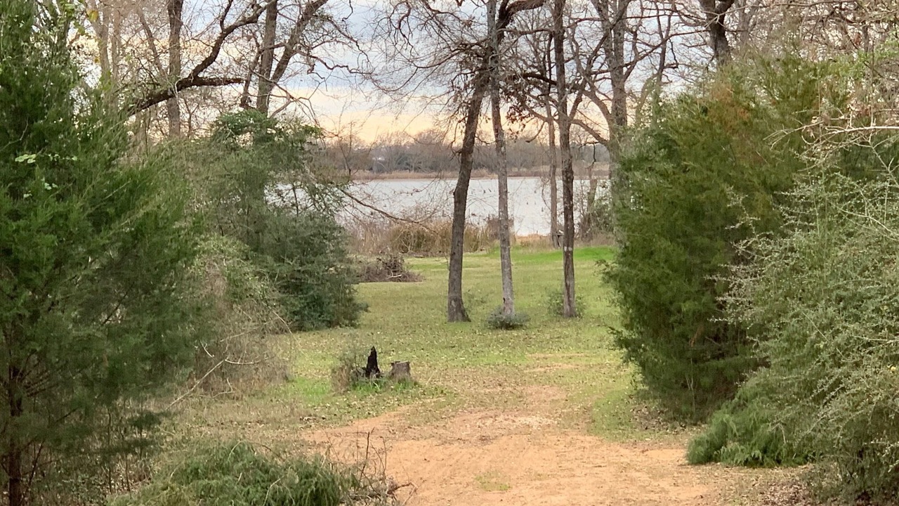 Photo of Outdoor in Jewett