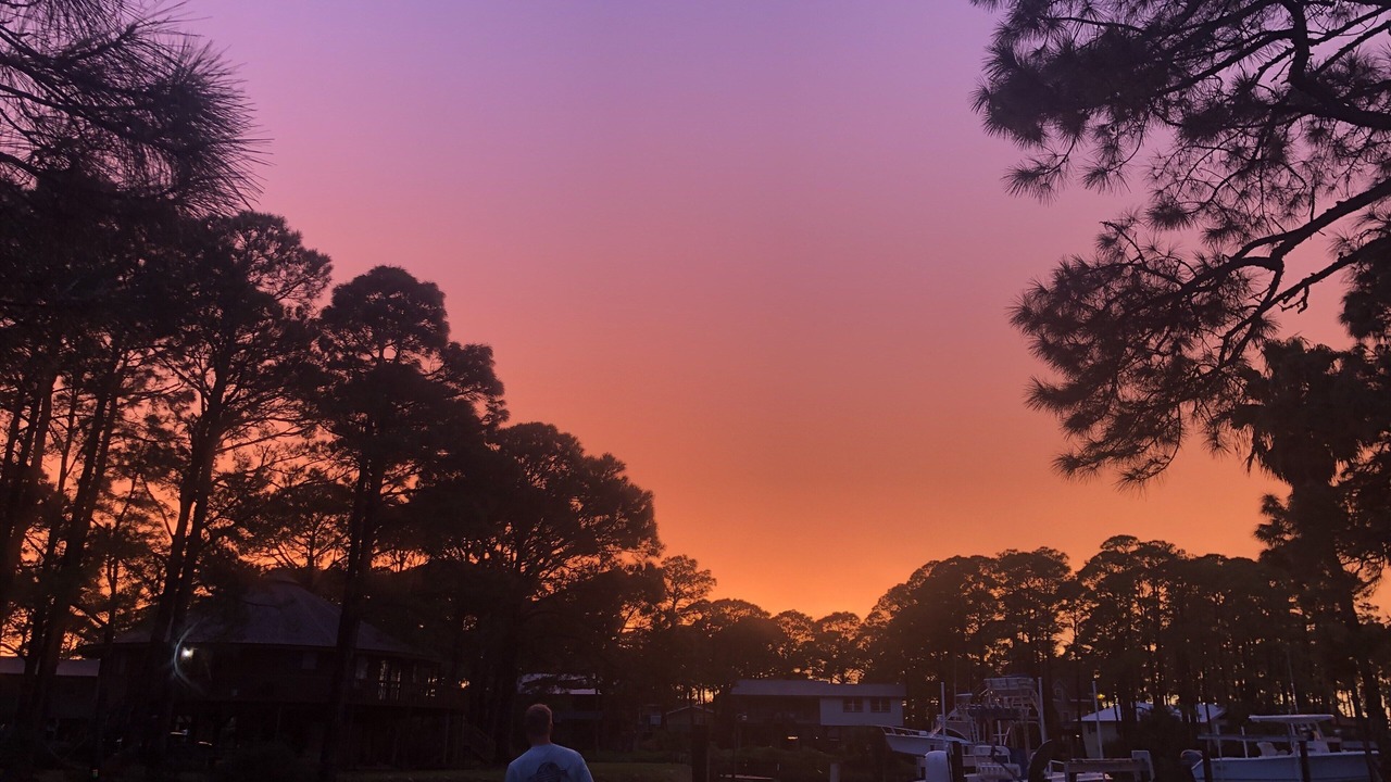 Photo of Outdoor in Alligator Point