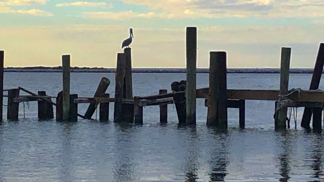 Photo of Outdoor in Grand Isle