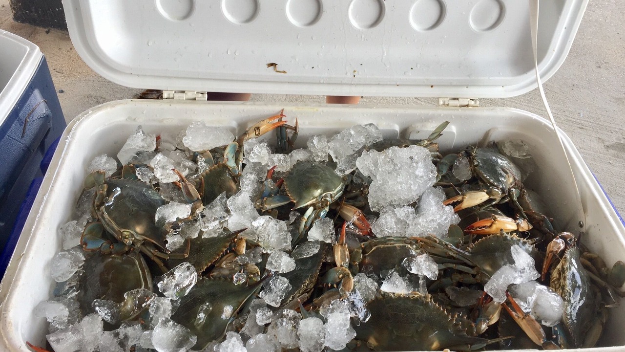 Photo of Others in Grand Isle