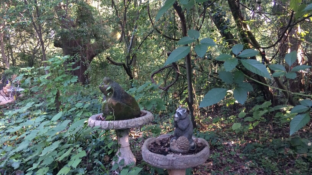Photo of Outdoor in Highlands - Perkins