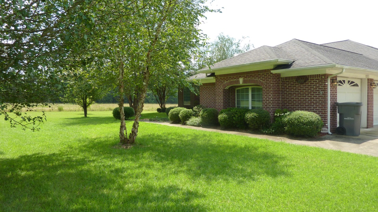 Photo of Outdoor in Starkville