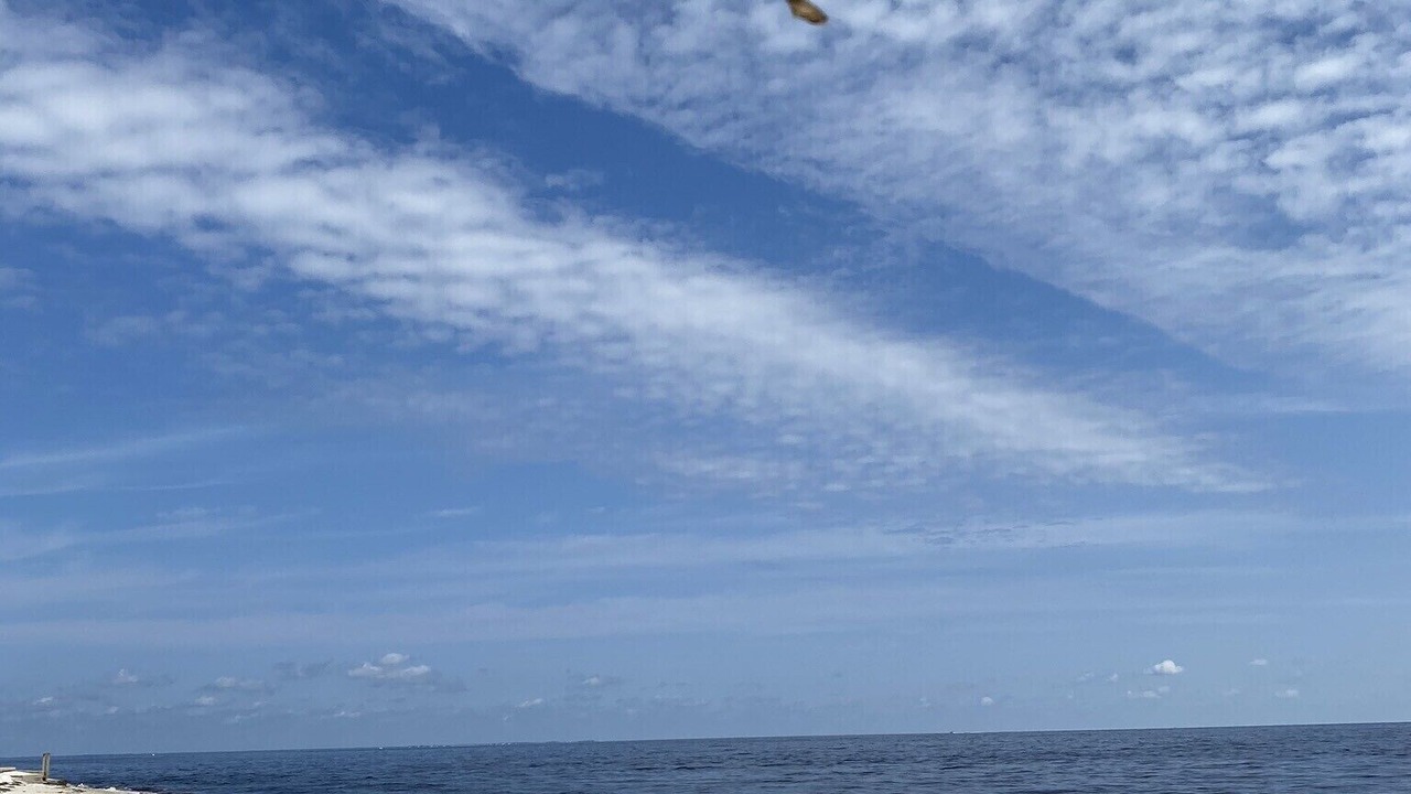 Photo of Others in Alligator Point
