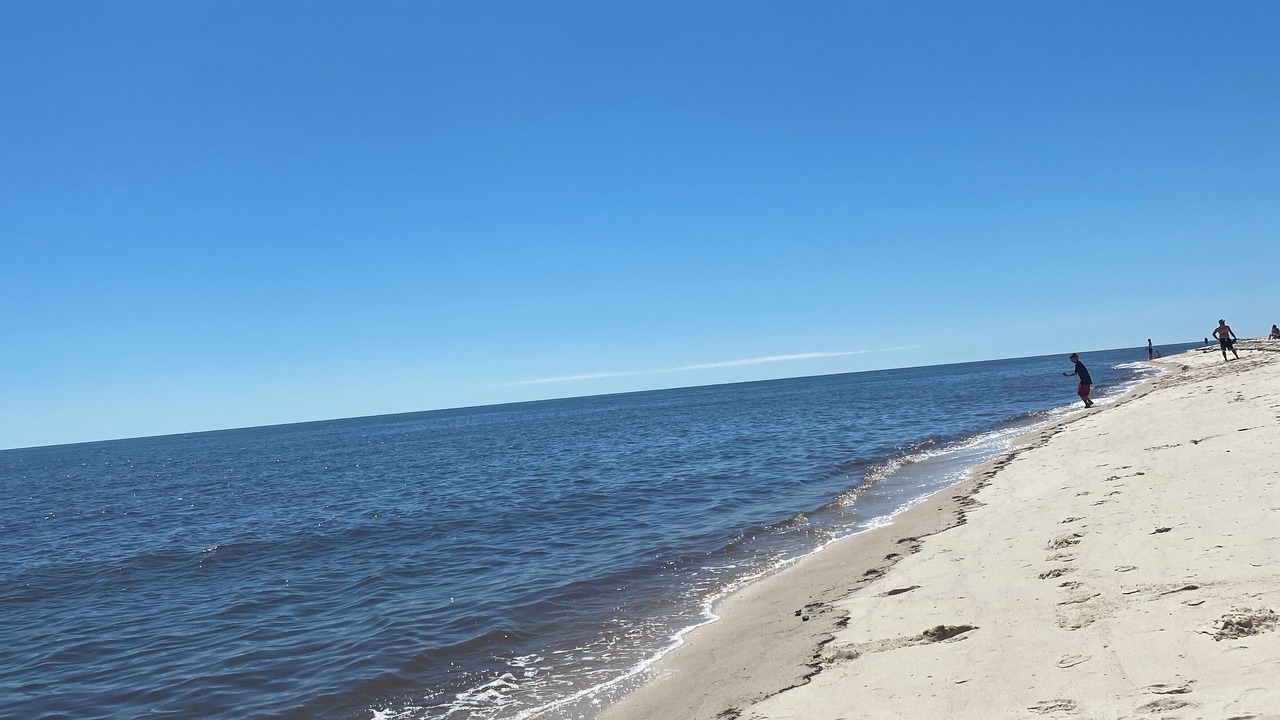 Photo of Others in Alligator Point