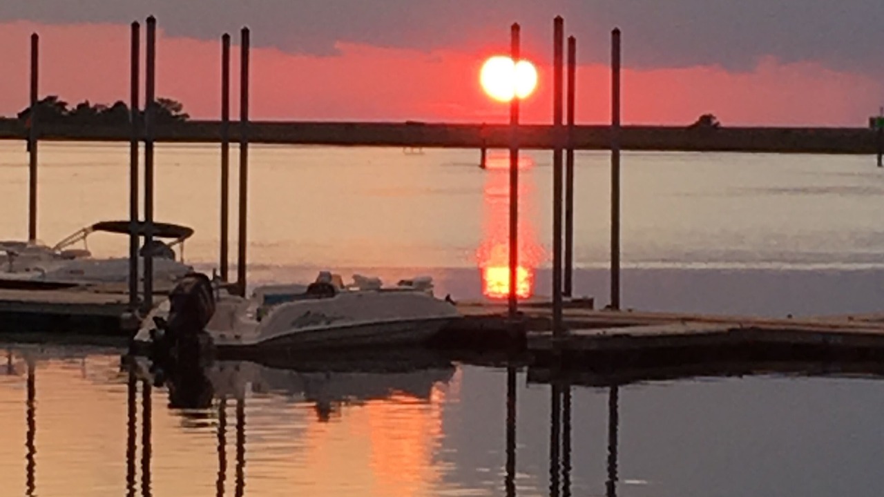 Photo of Others in Steinhatchee