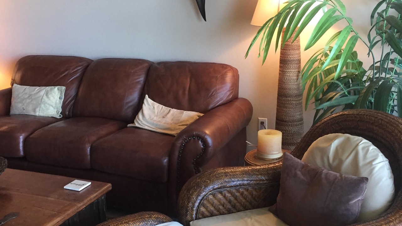Photo of Livingroom in Placida