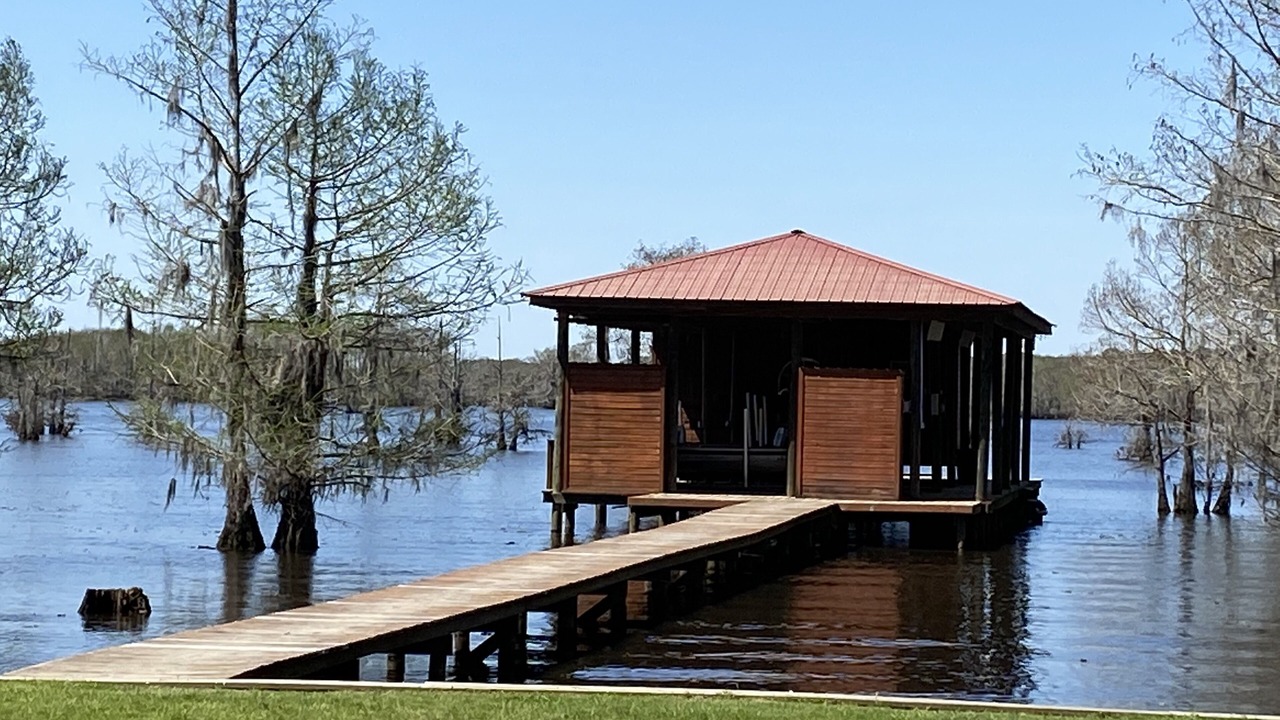 Photo of Outdoor in Taylor