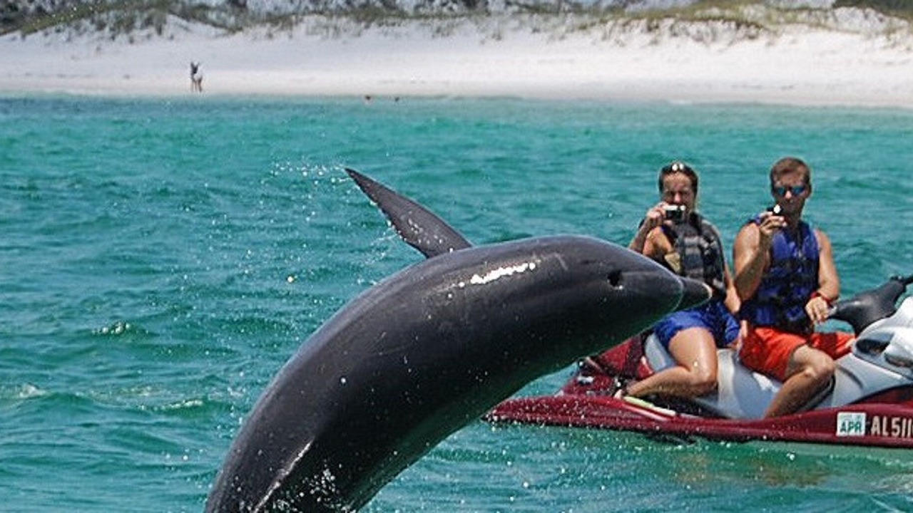 Photo of Others in Miramar Beach