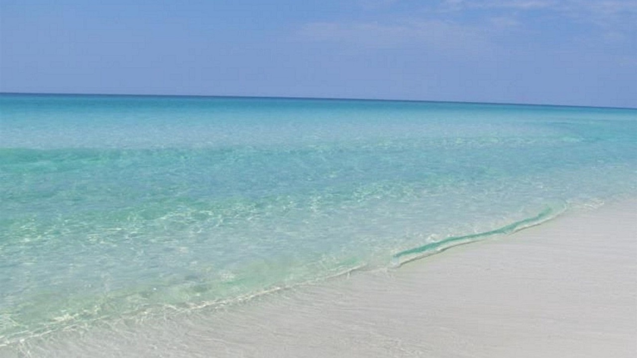 Photo of Others in Miramar Beach