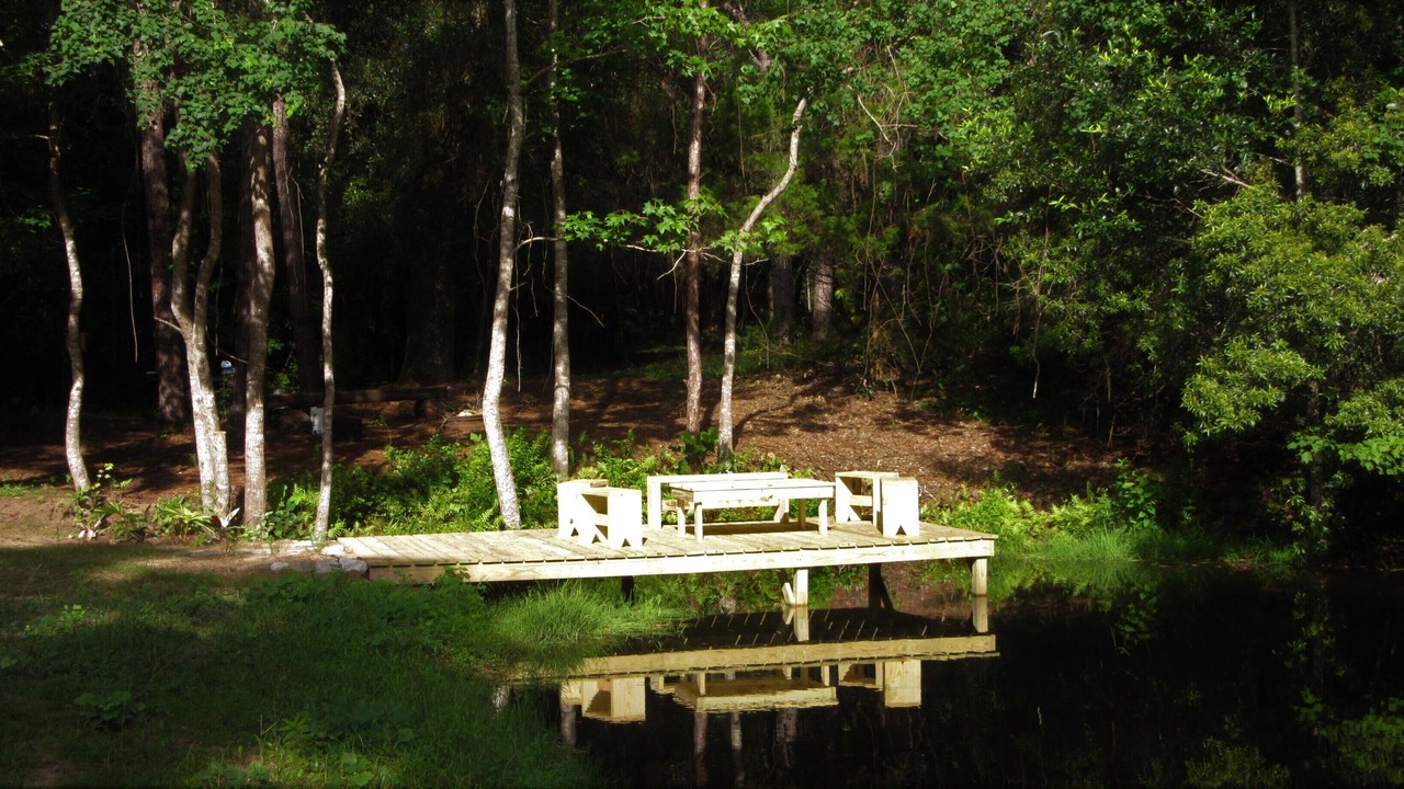 Photo of Outdoor in Loxley