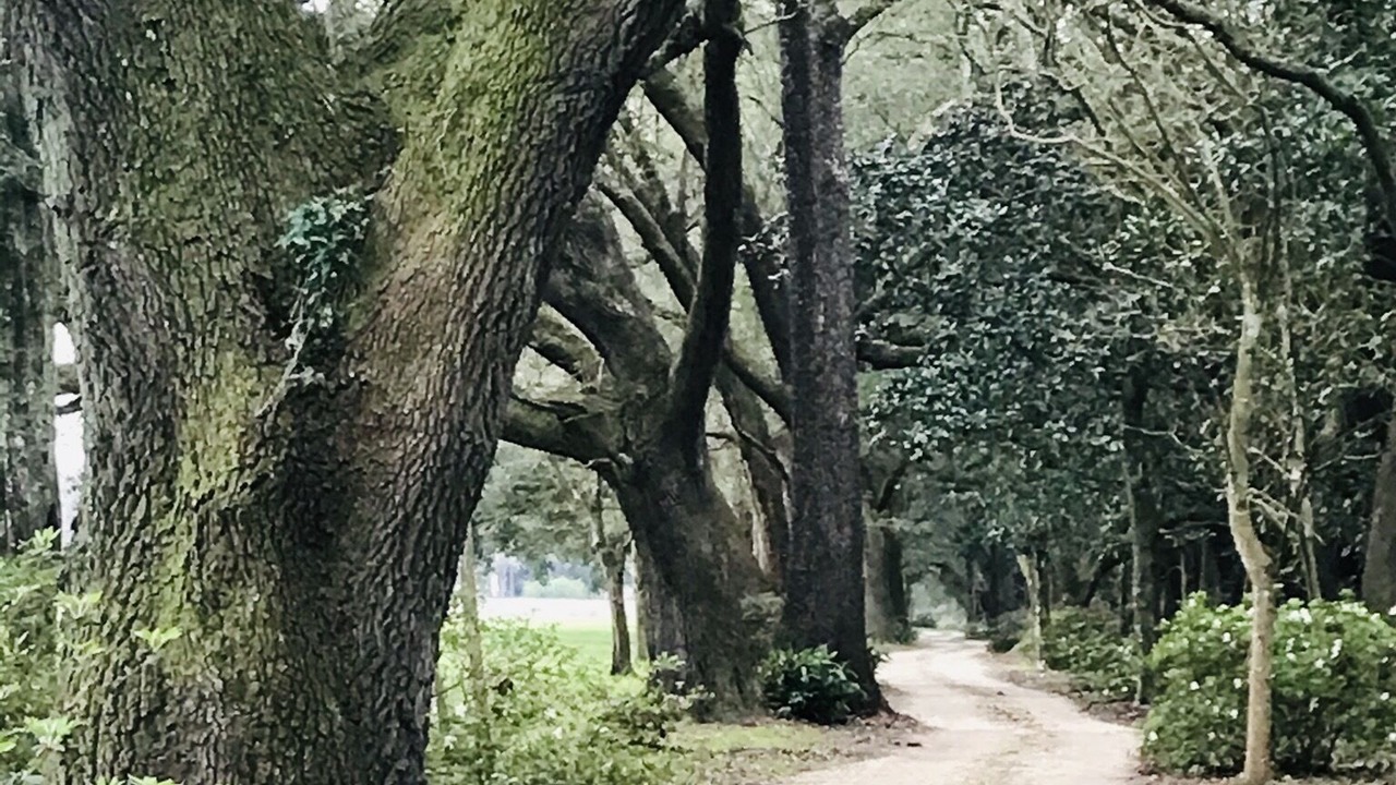 Photo of Outdoor in Loxley