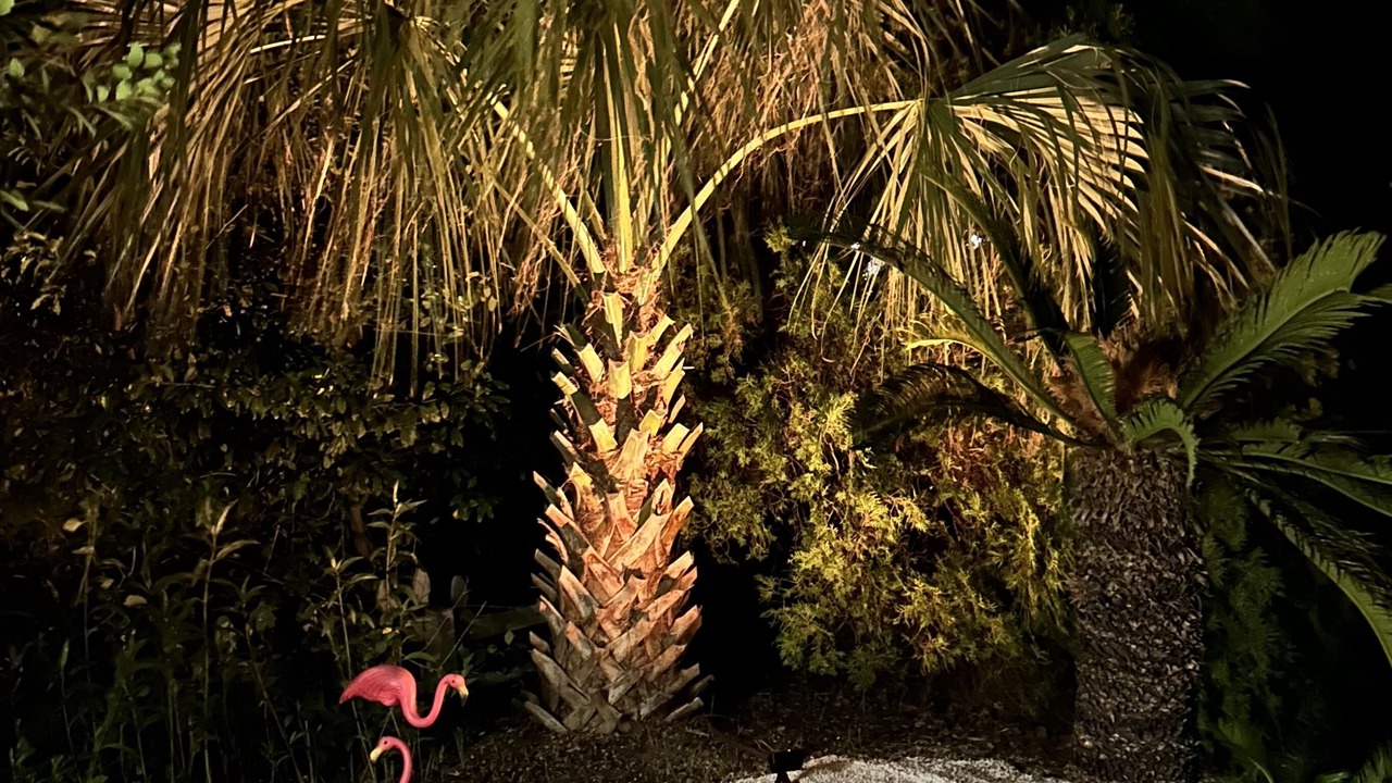 Photo of Others in Riviera Beach