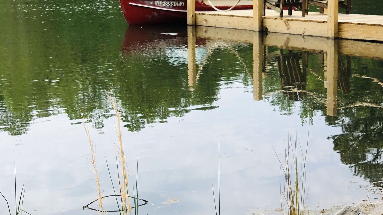 Photo of Outdoor in Crane Hill