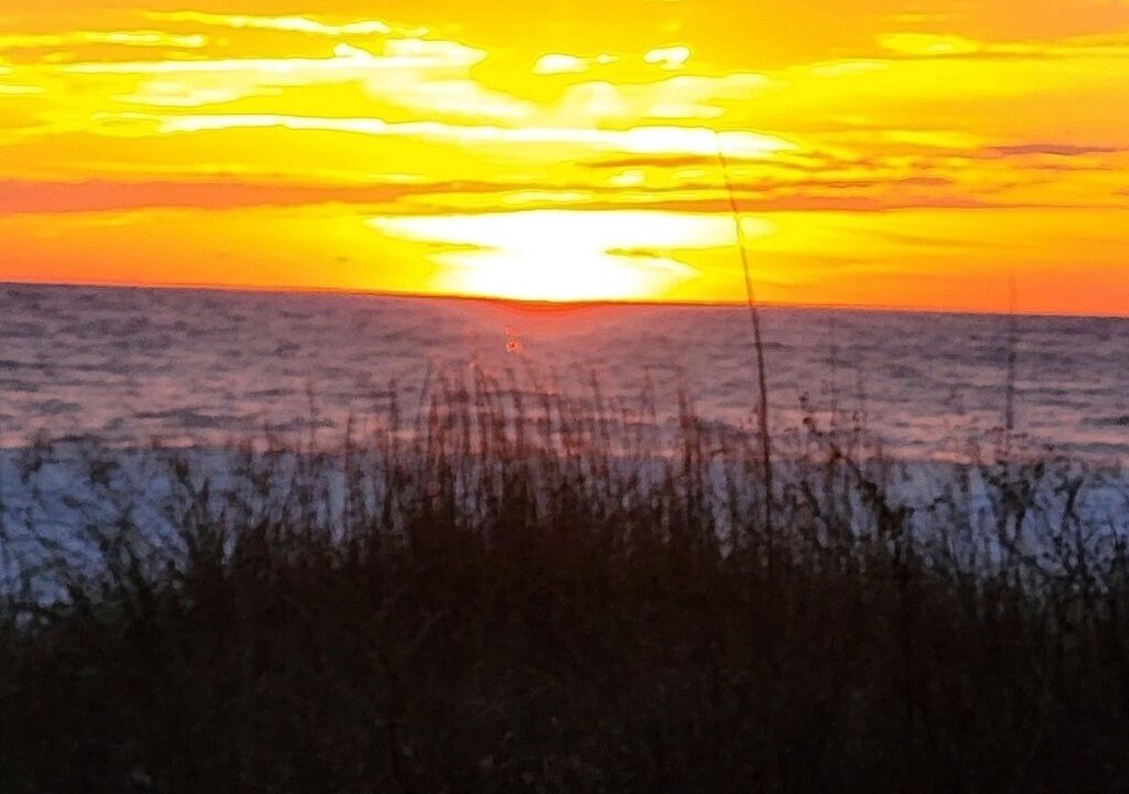 Photo of Others in Mexico Beach